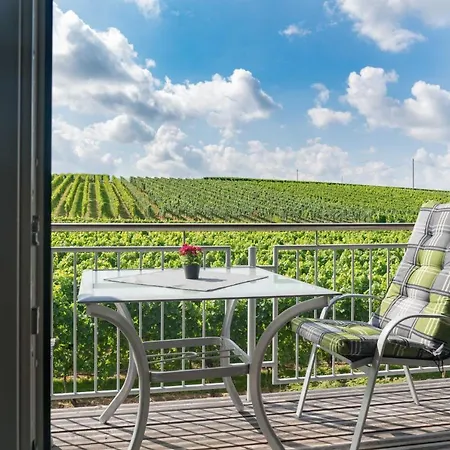 Appartamento Winzerhof Schmid Schwaigern Esterno foto